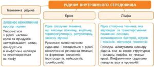 Складники внутрішнього середовища організму людини